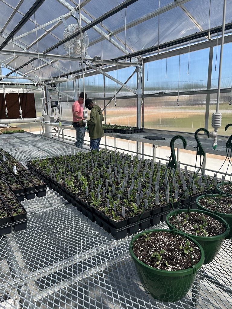LCSDCC Horticulture Students Planting in Greenhouse