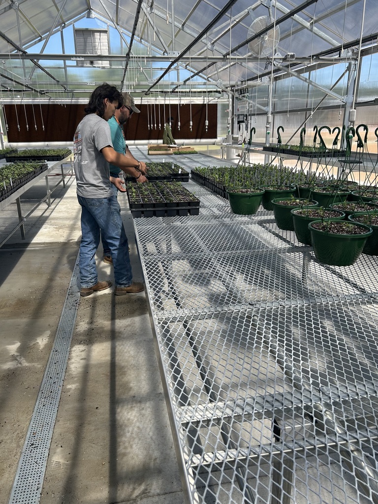 LCSDCC Horticulture Students Planting in Greenhouse