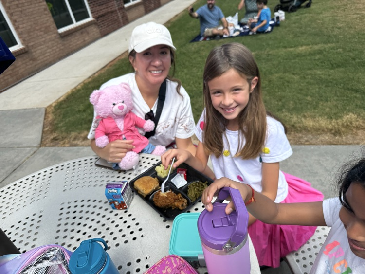 picnic on the patio