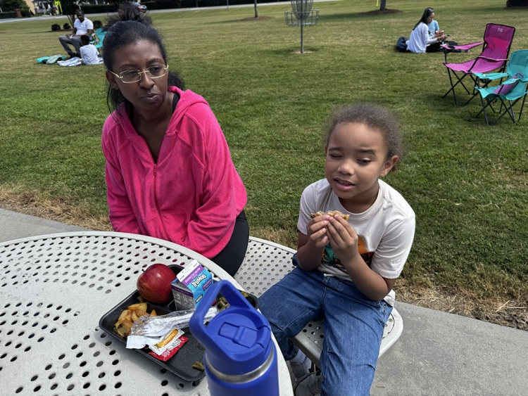 picnic on the patio