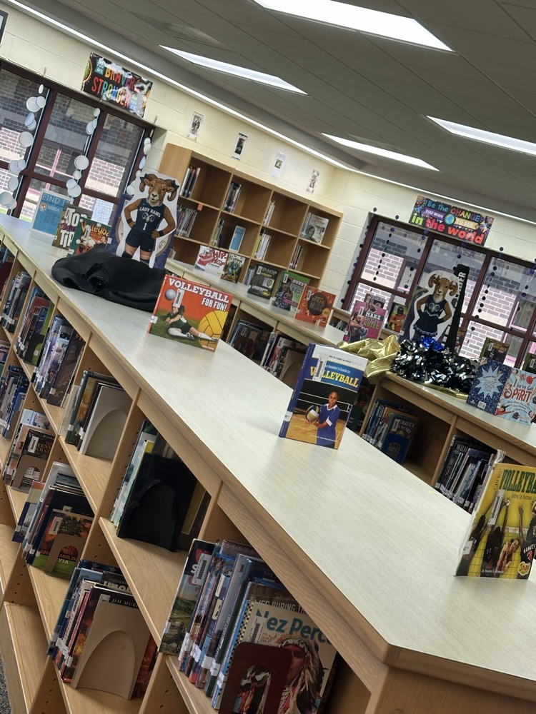 More Book Displays