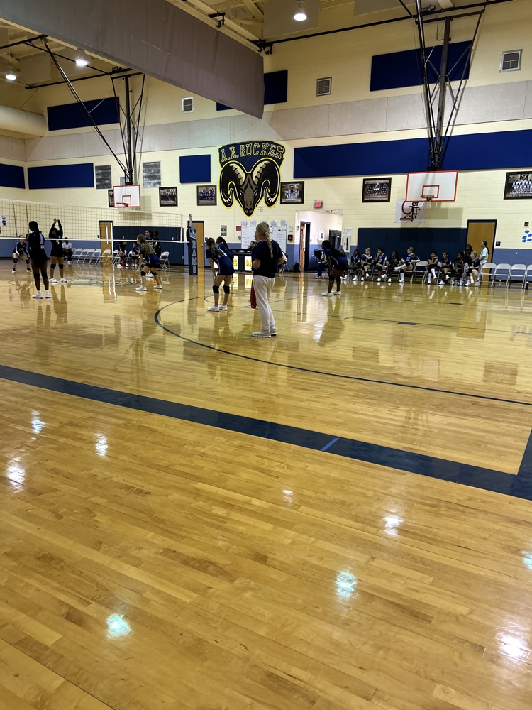Volleyball Girls in Action