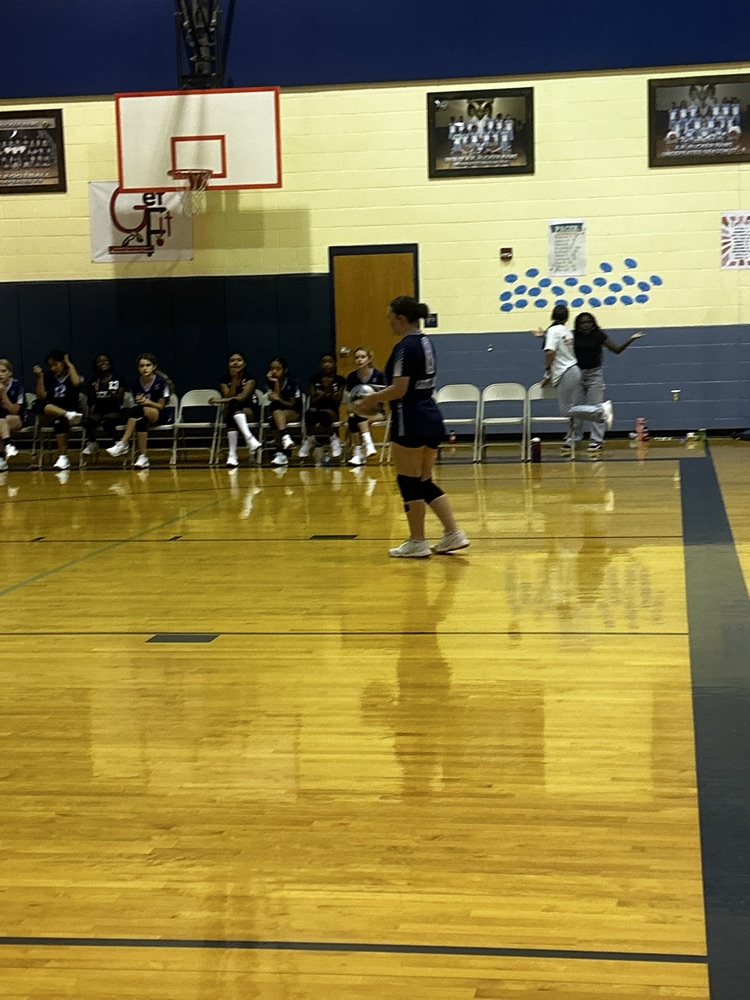 Volleyball Girls in Action