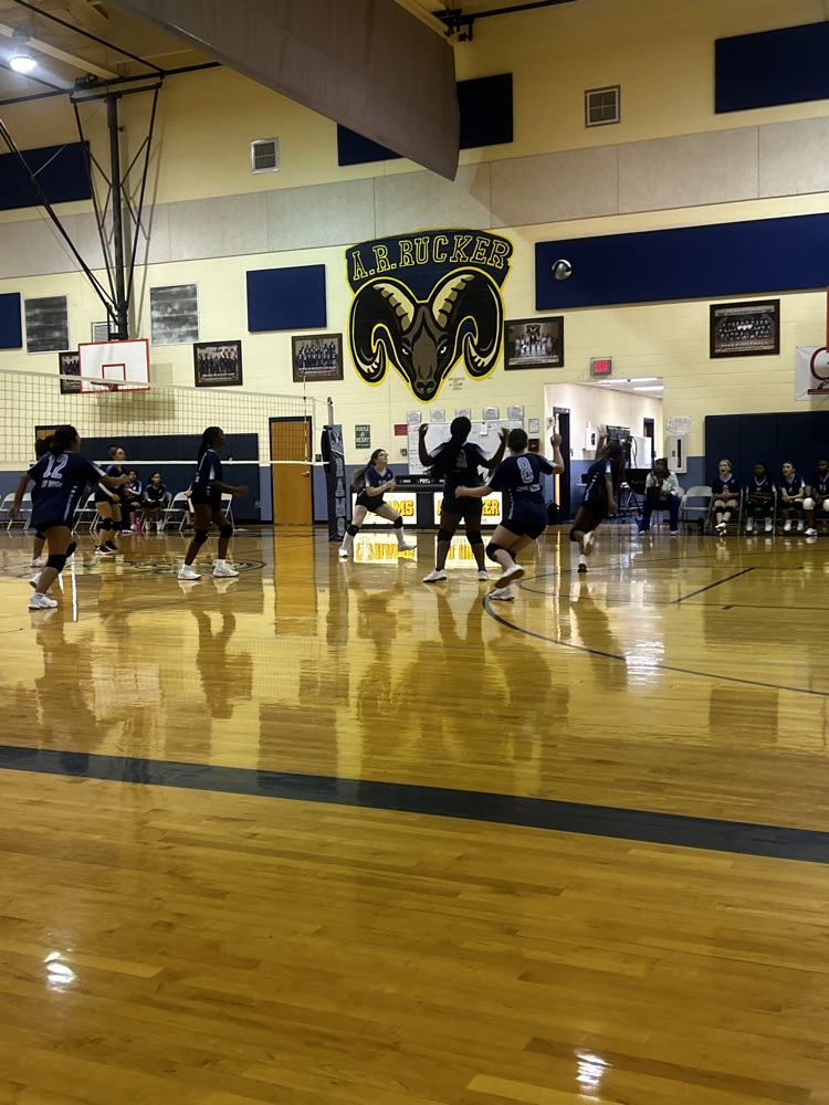Volleyball Girls in Action