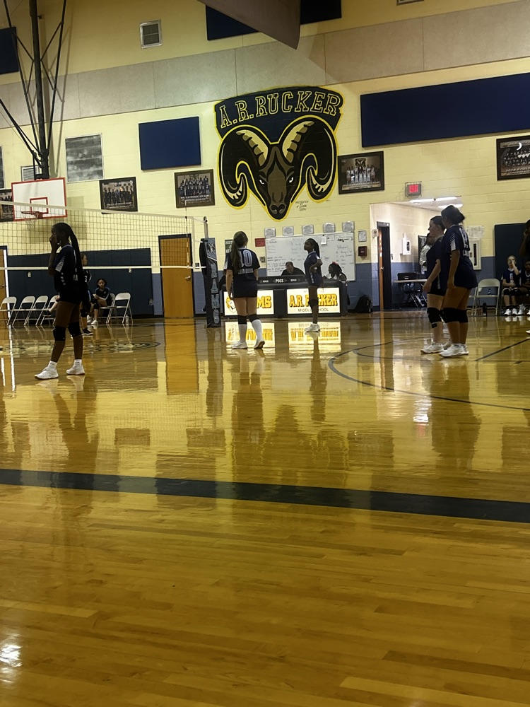 Volleyball Girls in Action