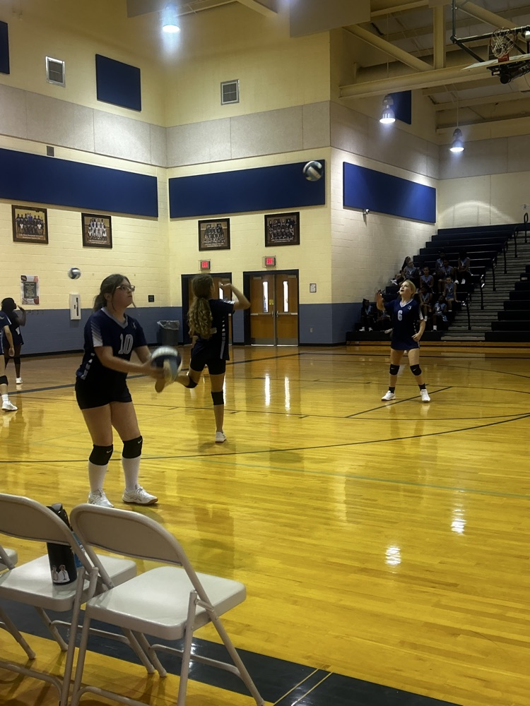Volleyball Girls in Action