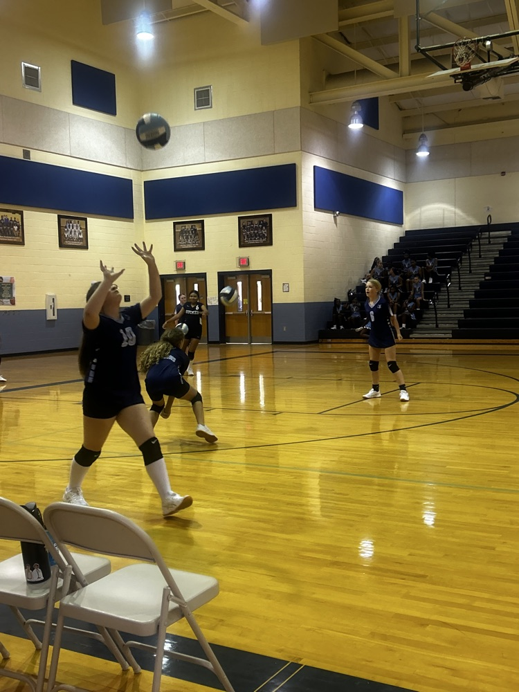 Volleyball Girls in Action 