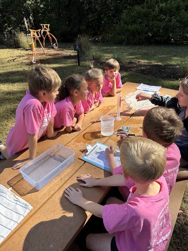 2nd grade at Anne Springs