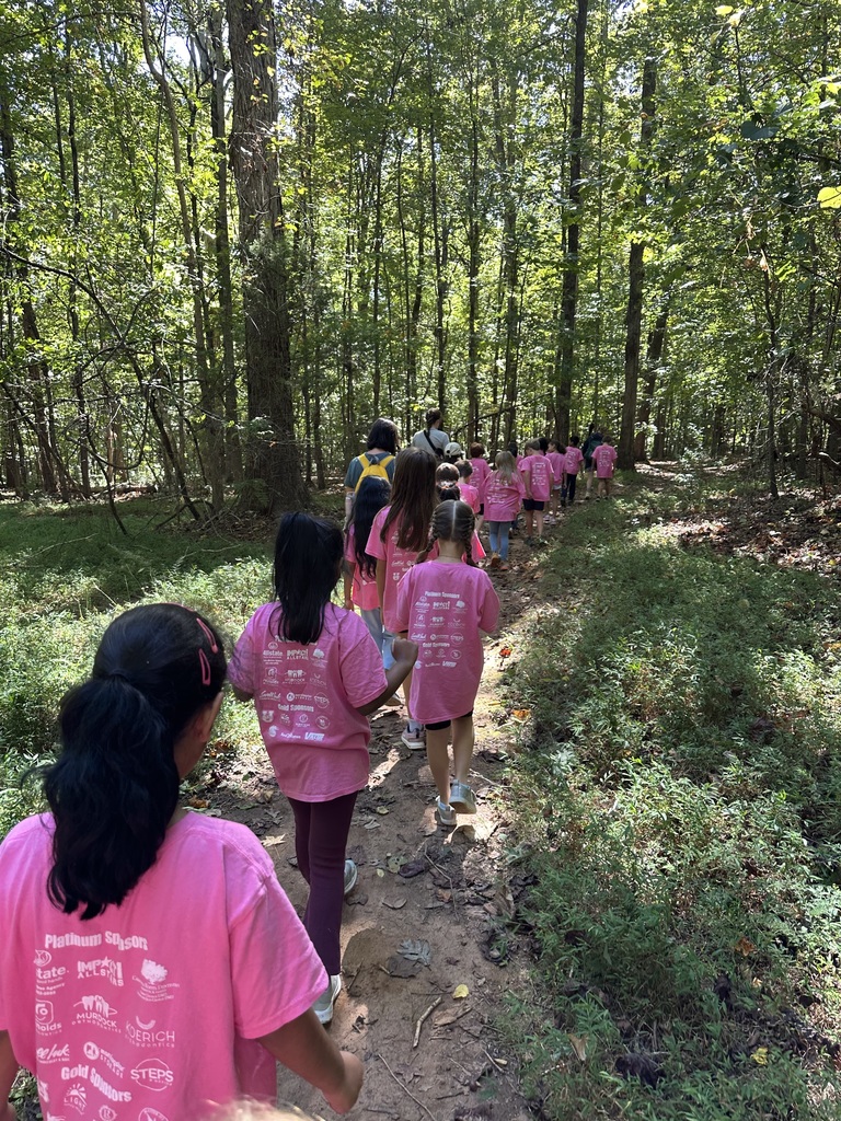 2nd grade at Anne Springs