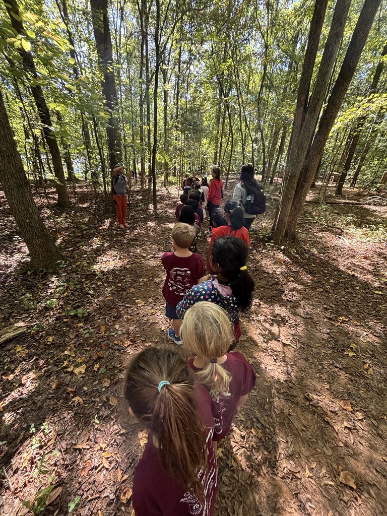2nd grade at Anne Springs