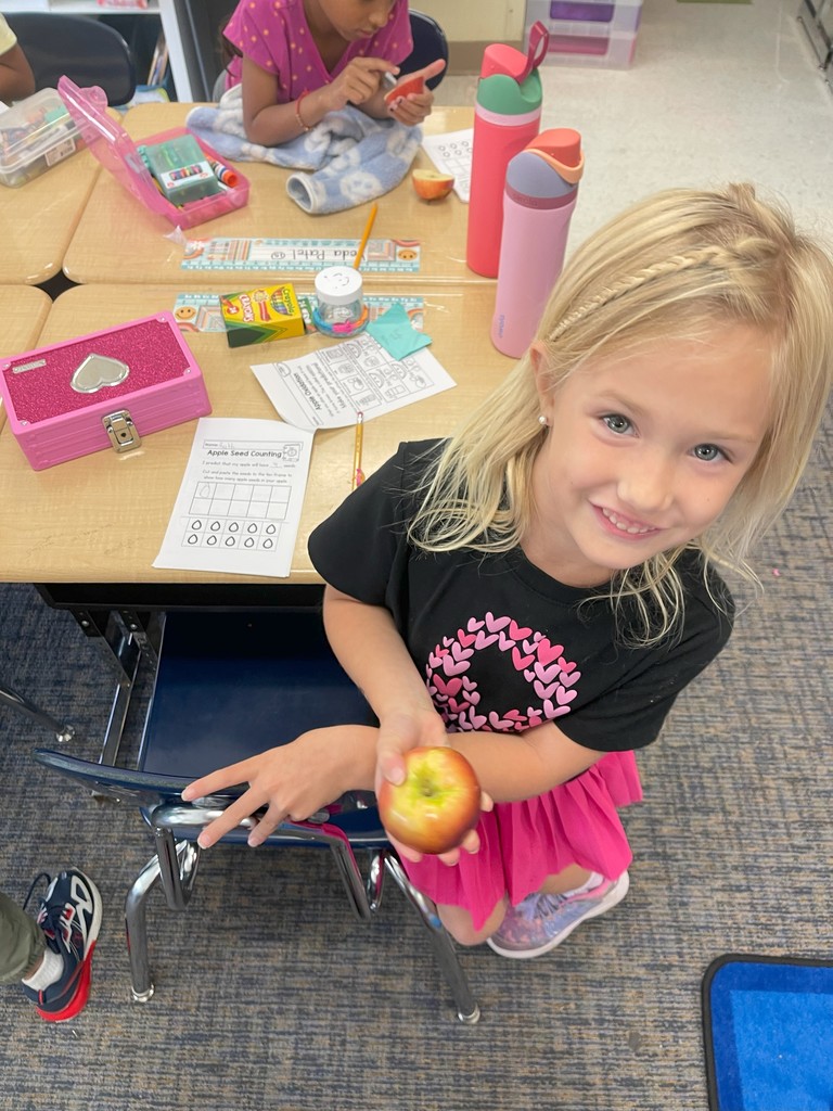 exploring apples in Ms. Powell's class