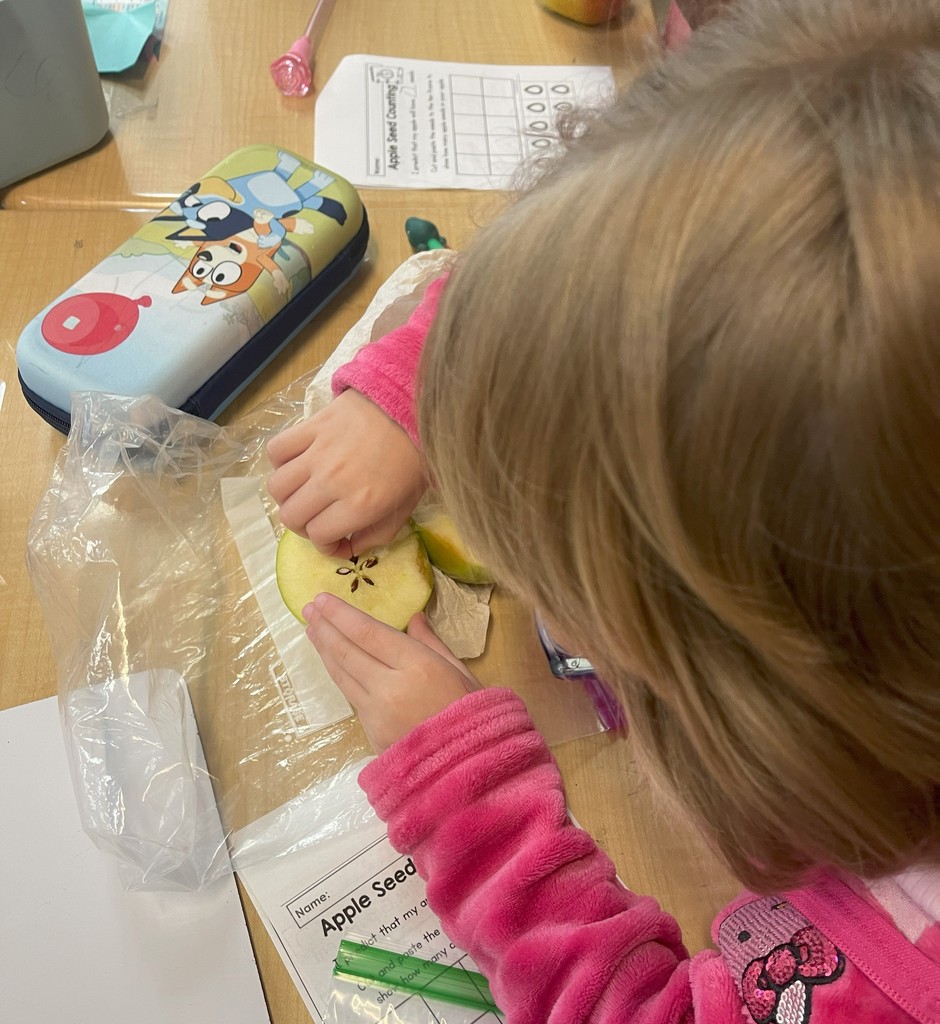 exploring apples in Ms. Powell's class
