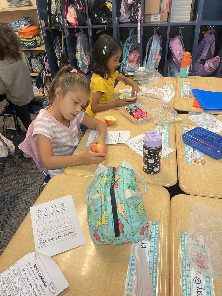 exploring apples in Ms. Powell's class