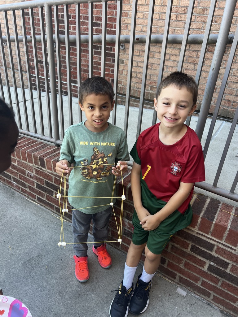 STEM project - 2nd grade