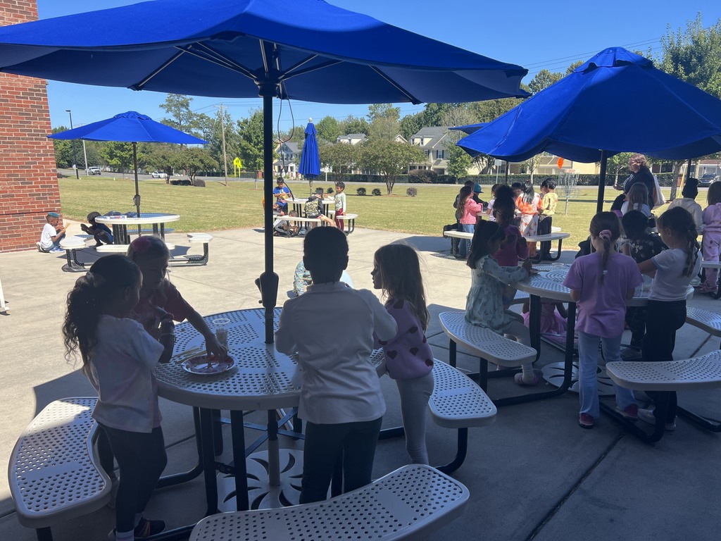 STEM project - 2nd grade