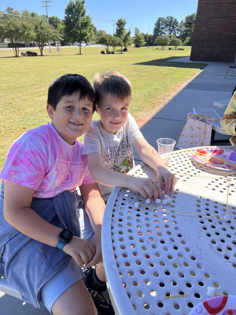 STEM project - 2nd grade