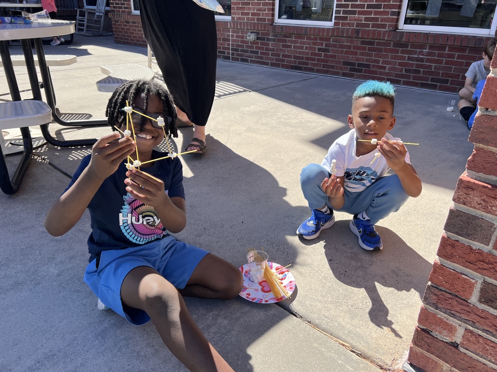 STEM project - 2nd grade