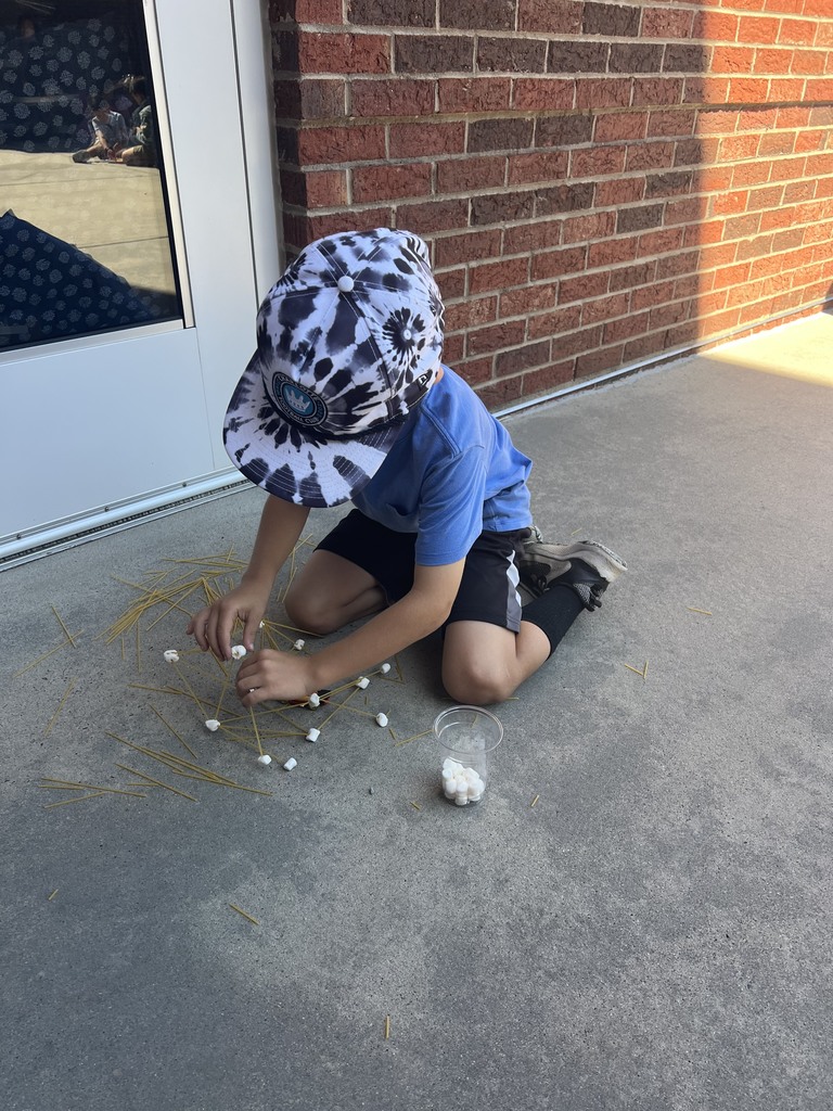 STEM project - 2nd grade