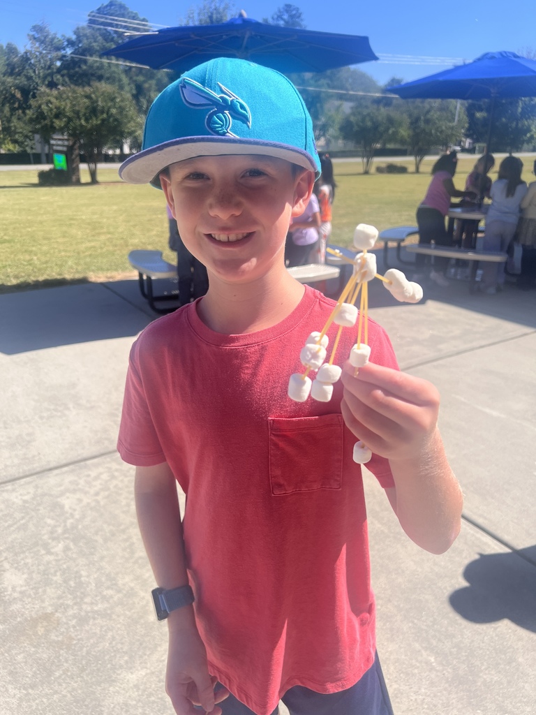 STEM project - 2nd grade