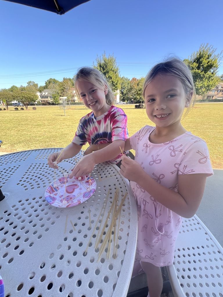 STEM project - 2nd grade