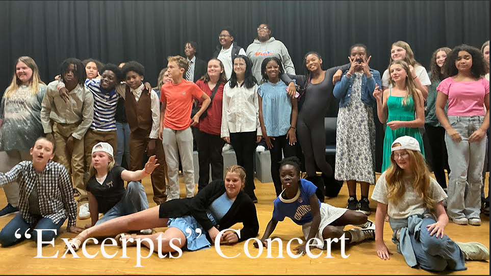 this image is a picture of the students who performed in the excerpt concert
