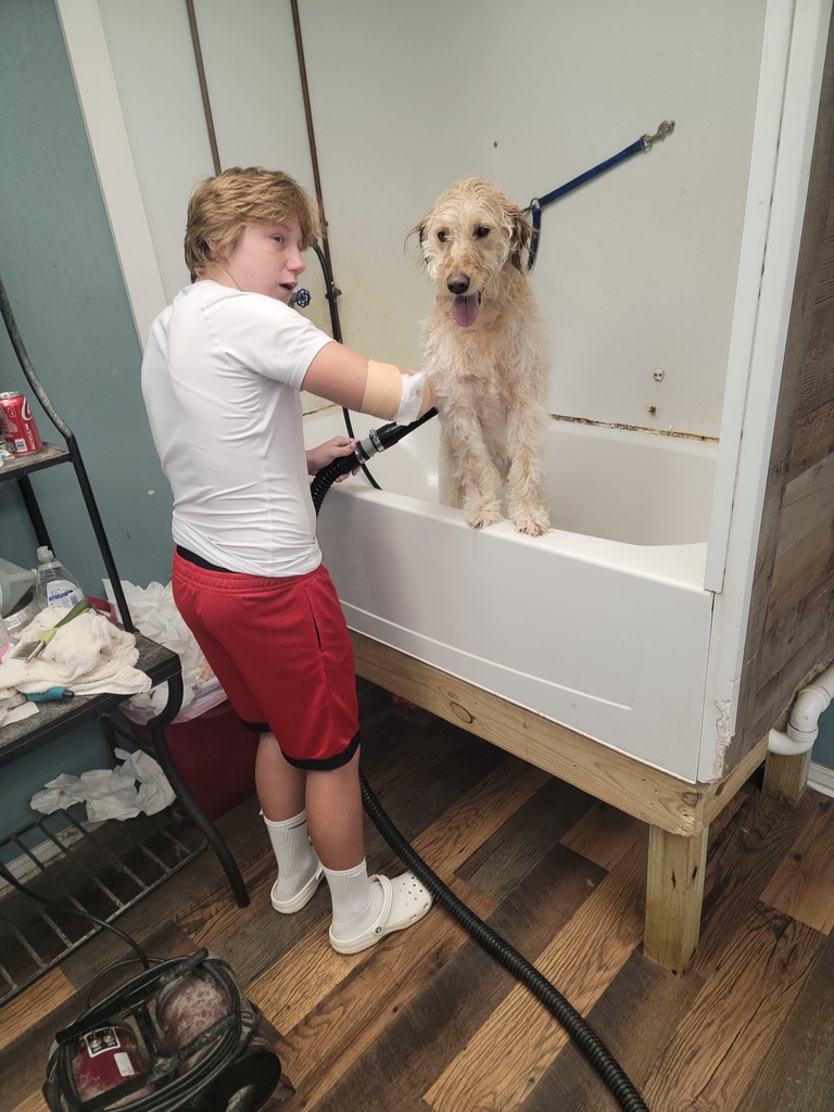 A young person with light brown or blonde hair wearing a white t-shirt and red shorts with black trim stands in a bathroom or pet grooming area. They hold a water spray or hose rinsing a light-colored, scruffy dog with floppy ears and tongue out, sitting in a white bathtub on a wooden platform. The background includes a light wall, pipes, a metal shelf with bottles and cloths, and wooden flooring.