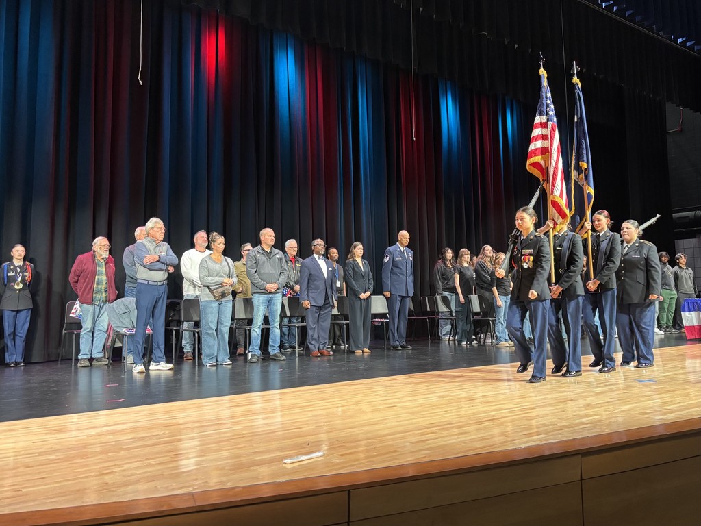 Several people stand in a line on a wooden stage in front of dark curtains with red and blue lighting accents. Some wear JROTC uniforms and a few hold flags, including the U.S. flag. Chairs are arranged behind the group; the individuals stand attentively during a Veterans' Day ceremony.