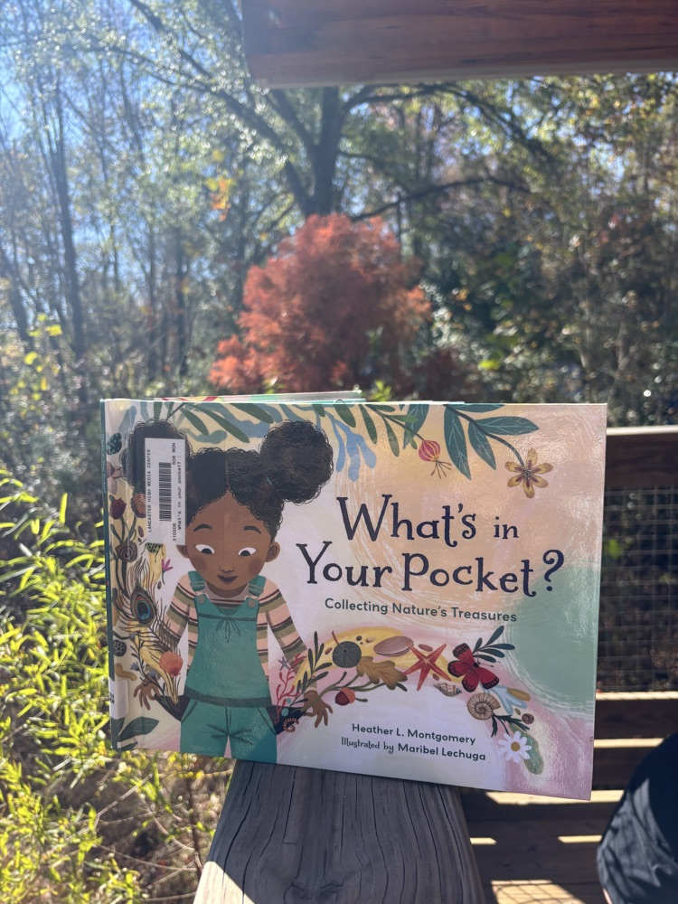 image of nature hunt 