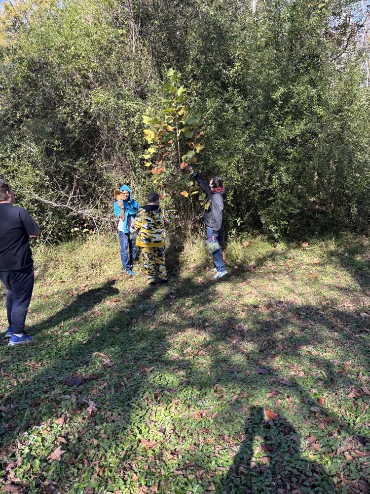 image of nature hunt 