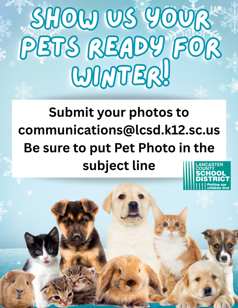 pets ready for winter