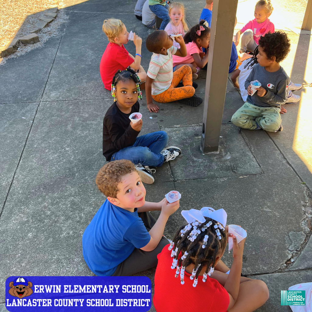 Erwin Elementary School Recap