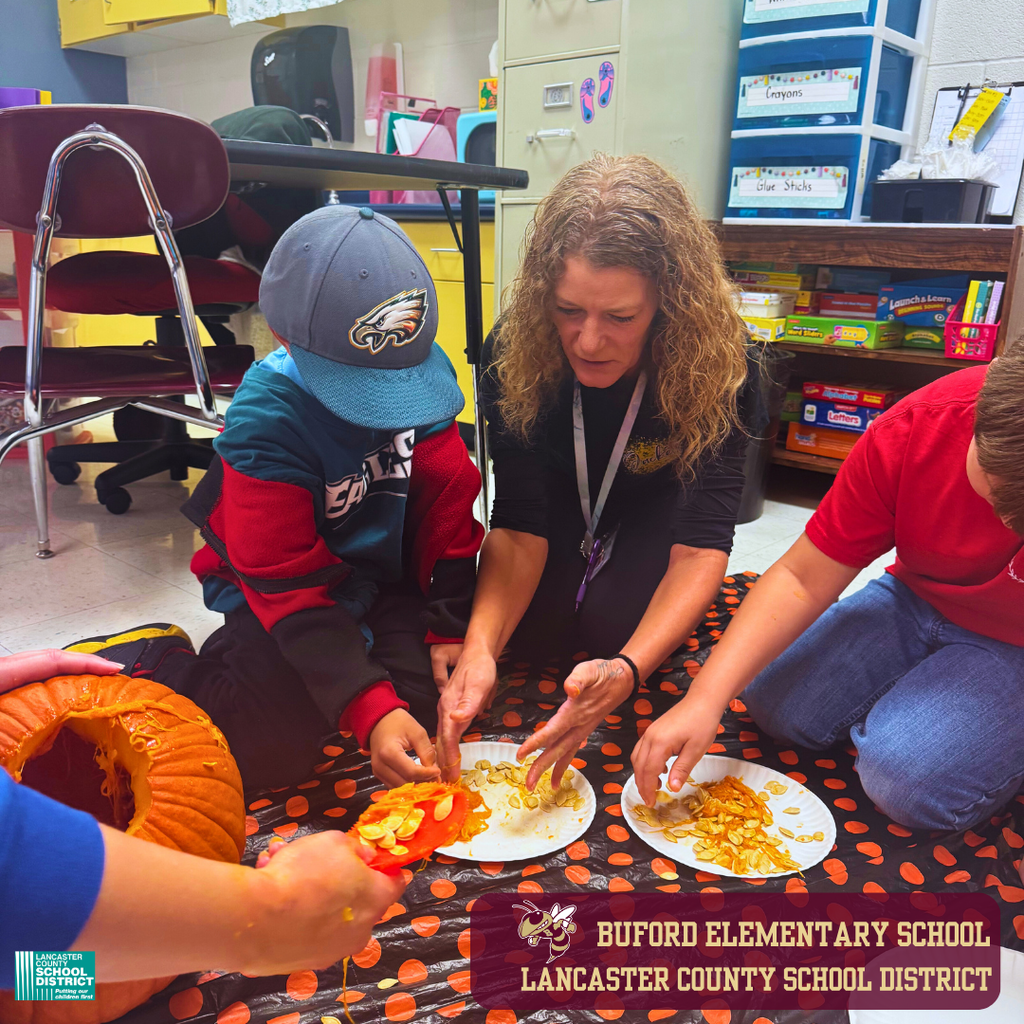 Buford Elementary School Recap