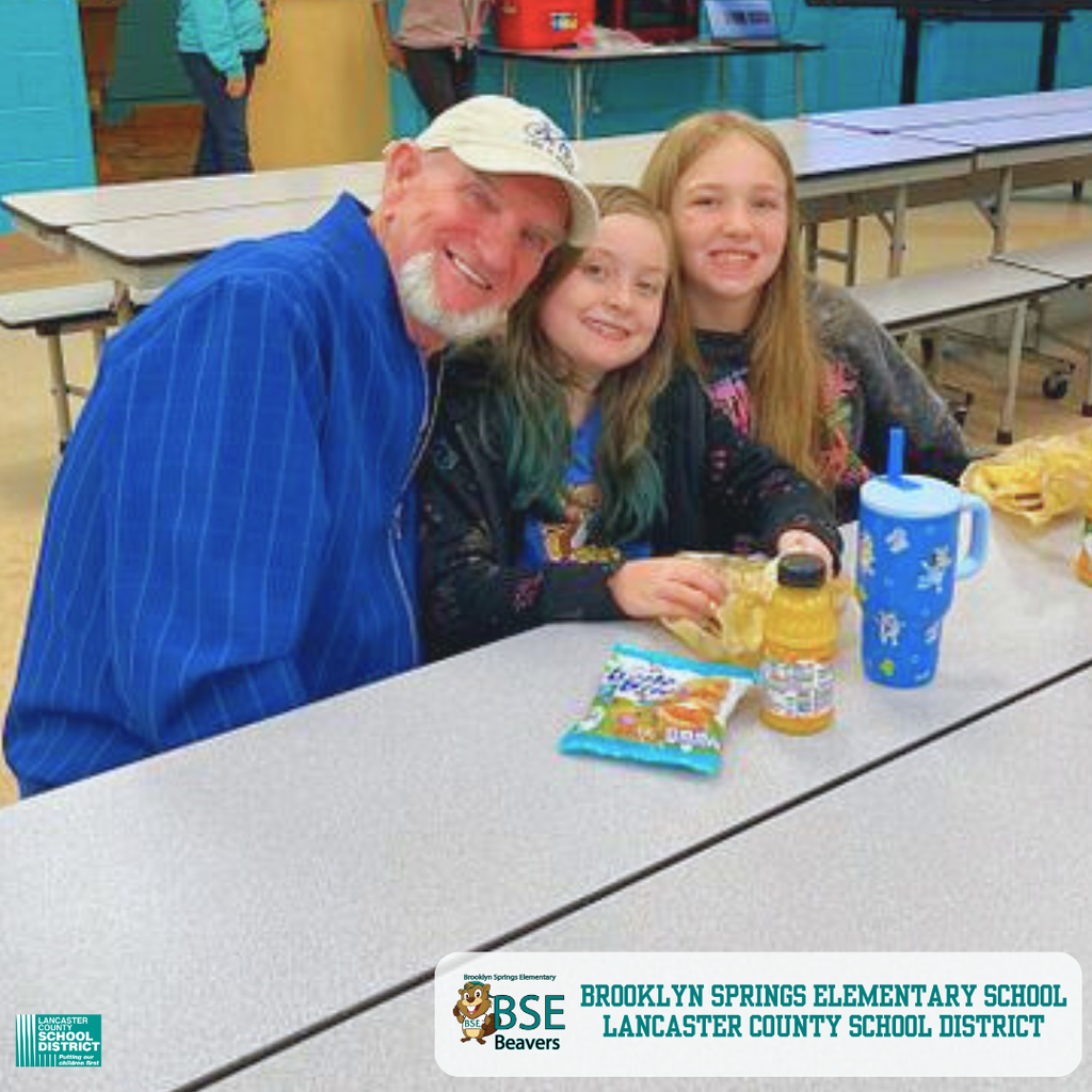 Brooklyn Springs Elementary 2025 Recap