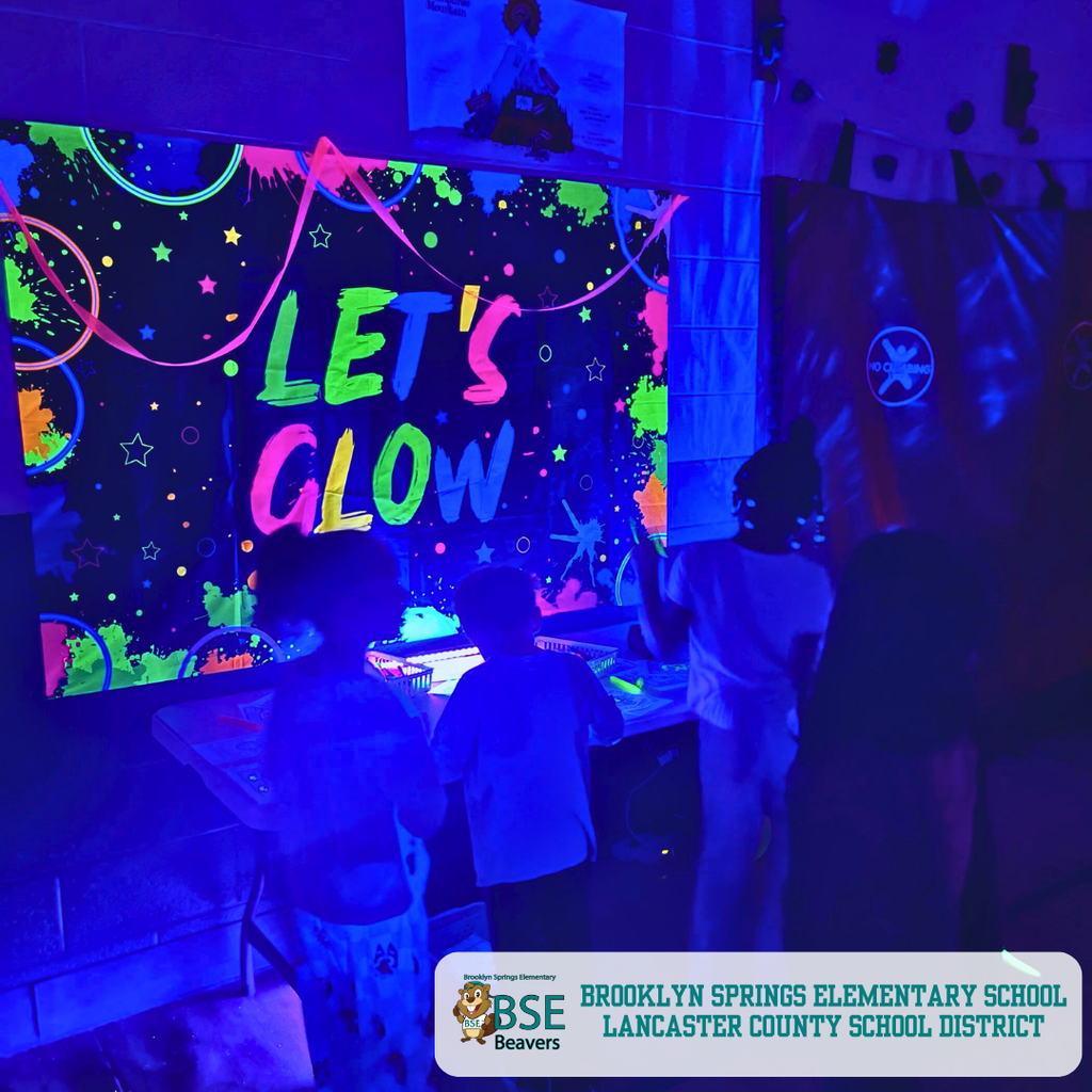 Brooklyn Springs Elementary 2025 Recap