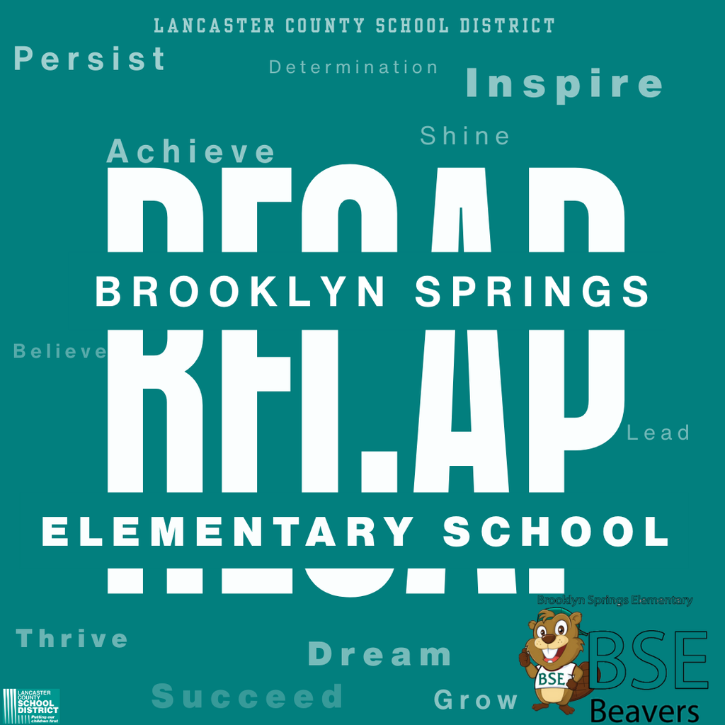 Brooklyn Springs Elementary 2025 Recap