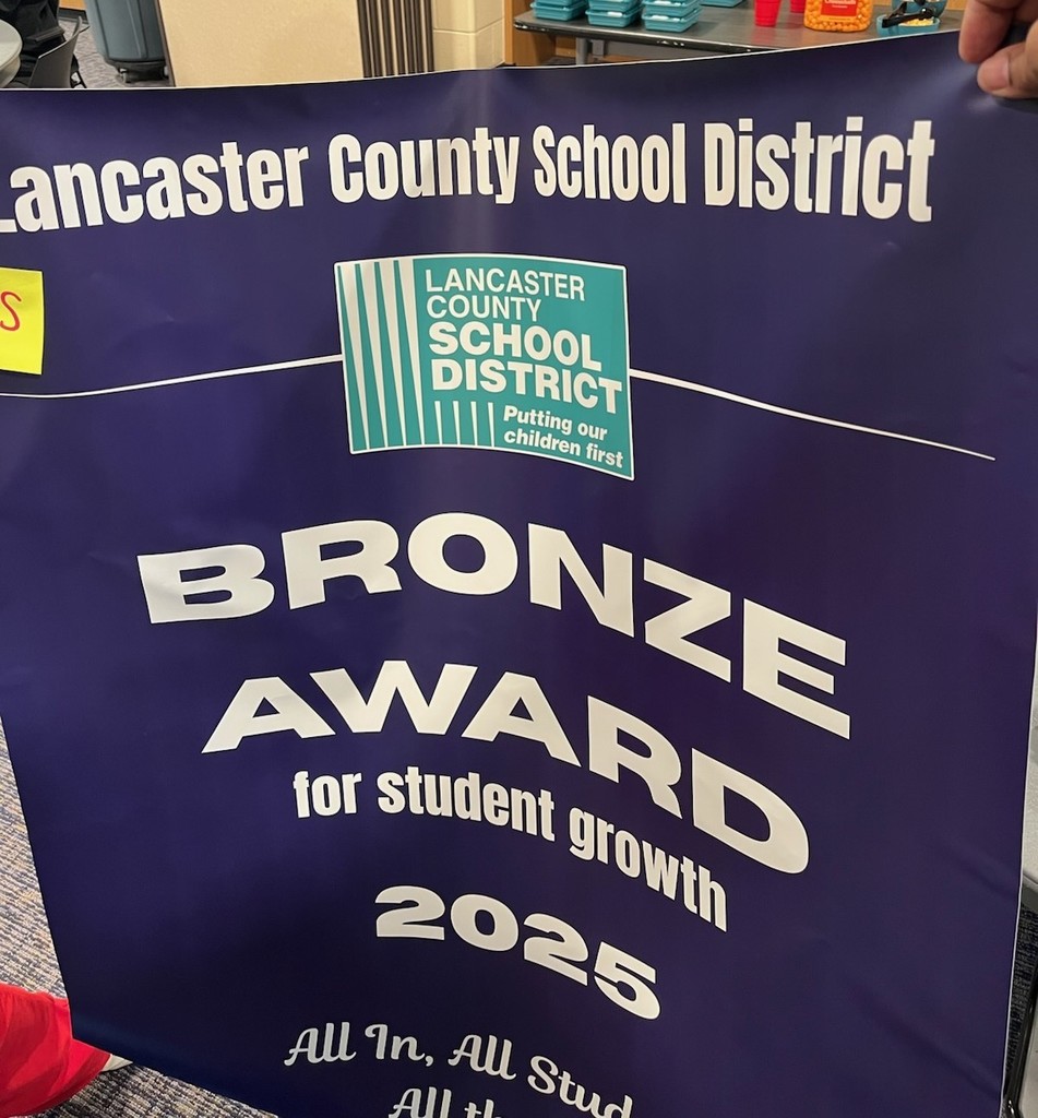 Bronze Award Banner