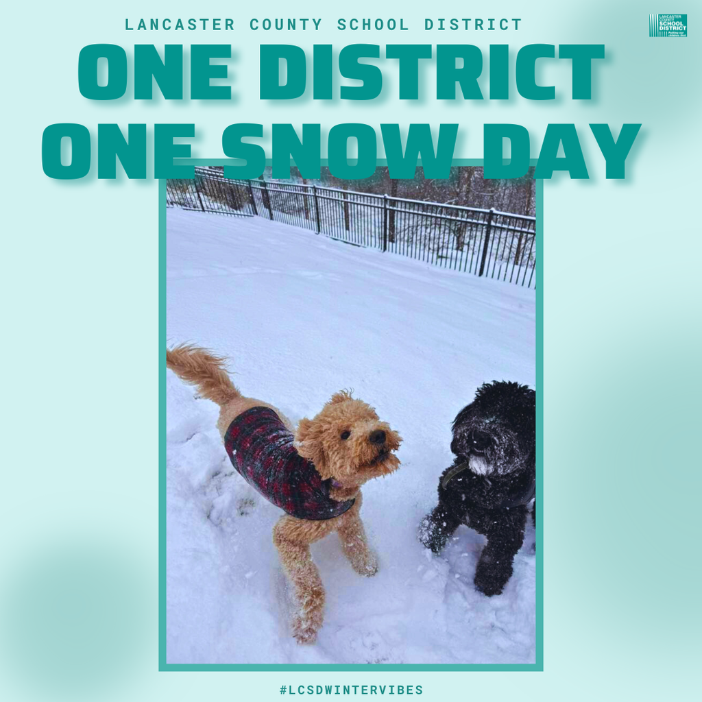 LCSD One District One Snow Day