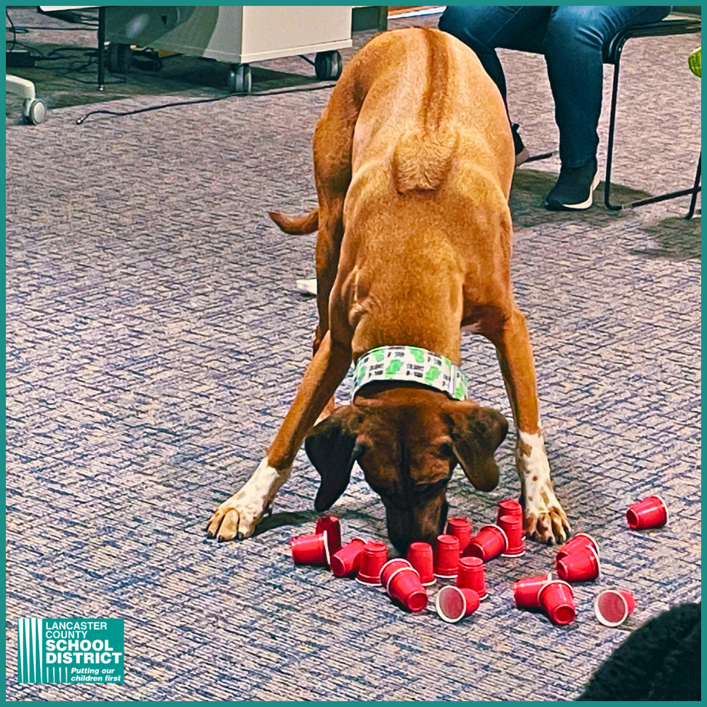 25-26 Elementary Read In