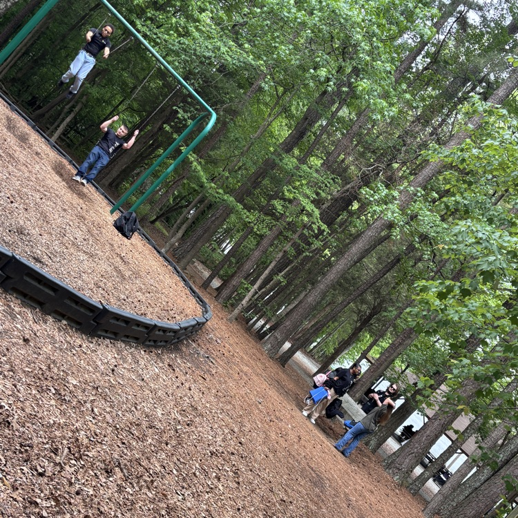 image of Senior Picnic