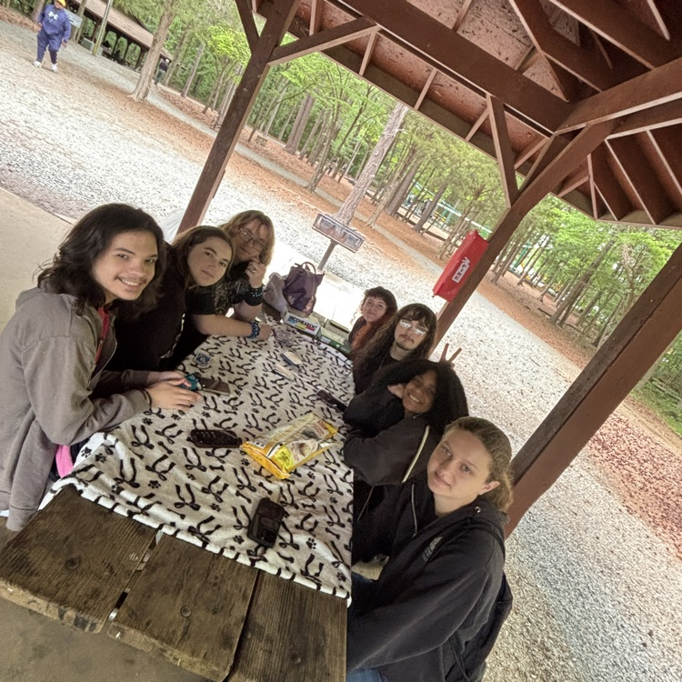 image of Senior Picnic
