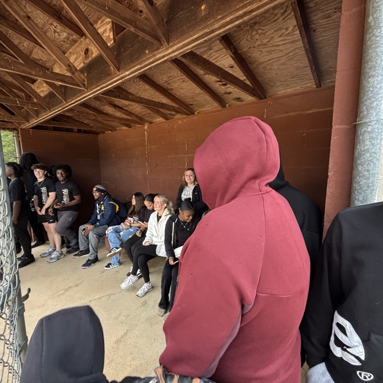 image of Senior Picnic
