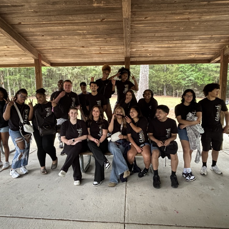 image of Senior Picnic