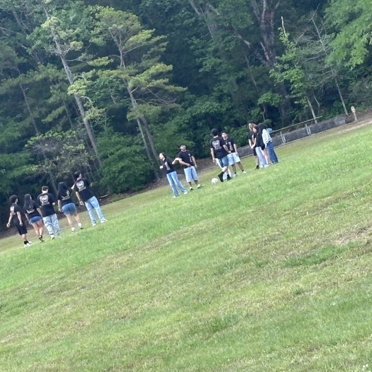 image of Senior Picnic