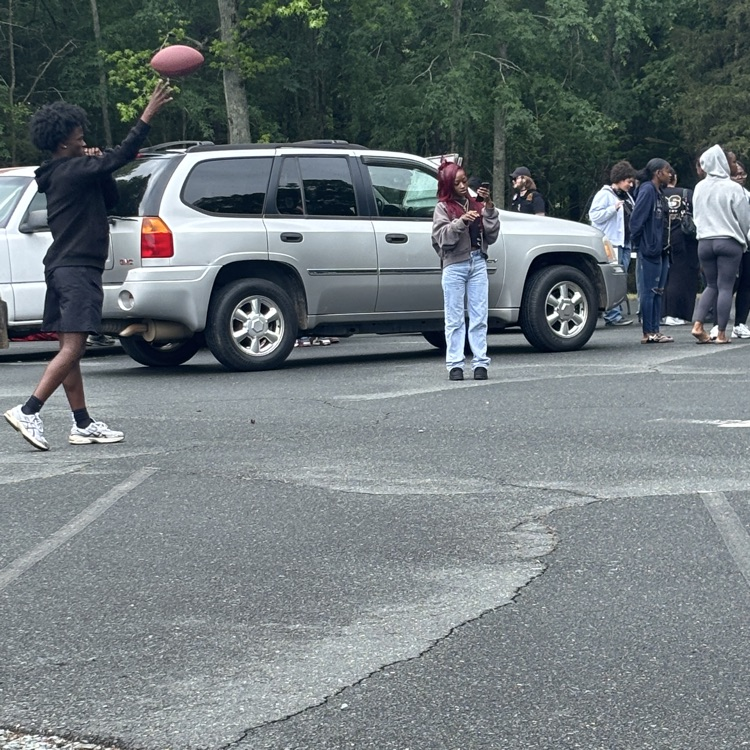 image of Senior Picnic