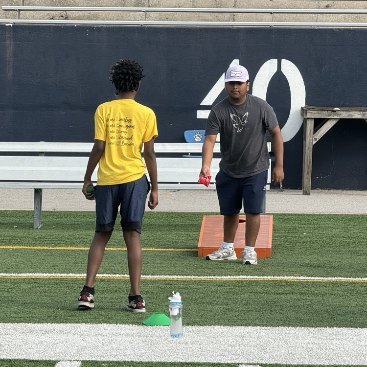 Image of Field Day