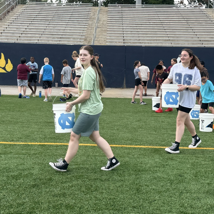Image of Field Day