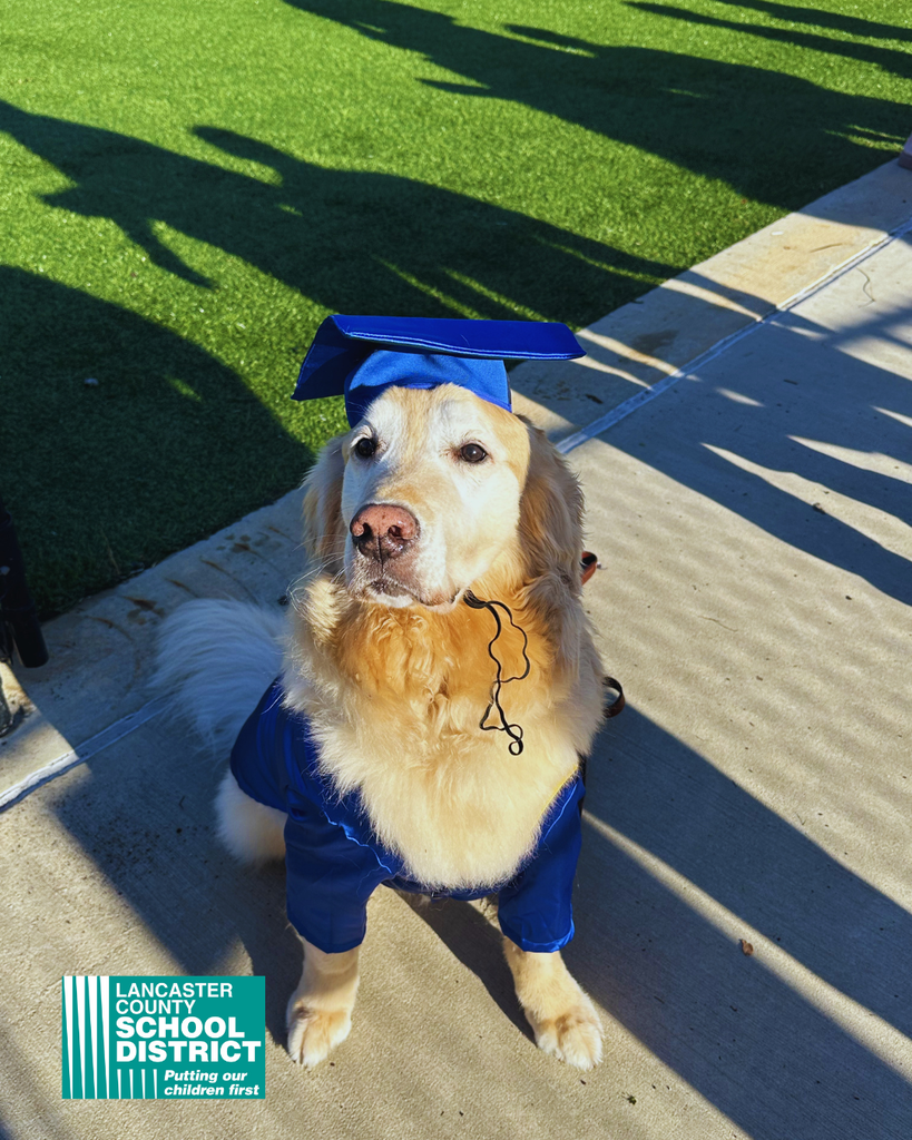 ILHS Graduation 2026