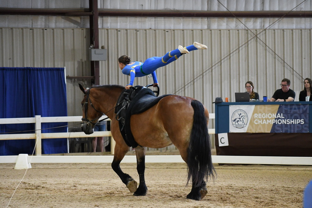 A performer in blue acrobatics gear stands upside down on a horse. Behind, a wall with text and seated spectators.