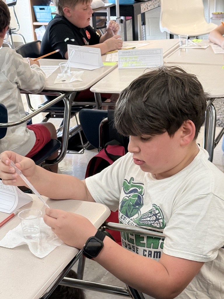A student wearing a watch holds a pipette in a classroom. He sits at a desk. Other students sit behind him.