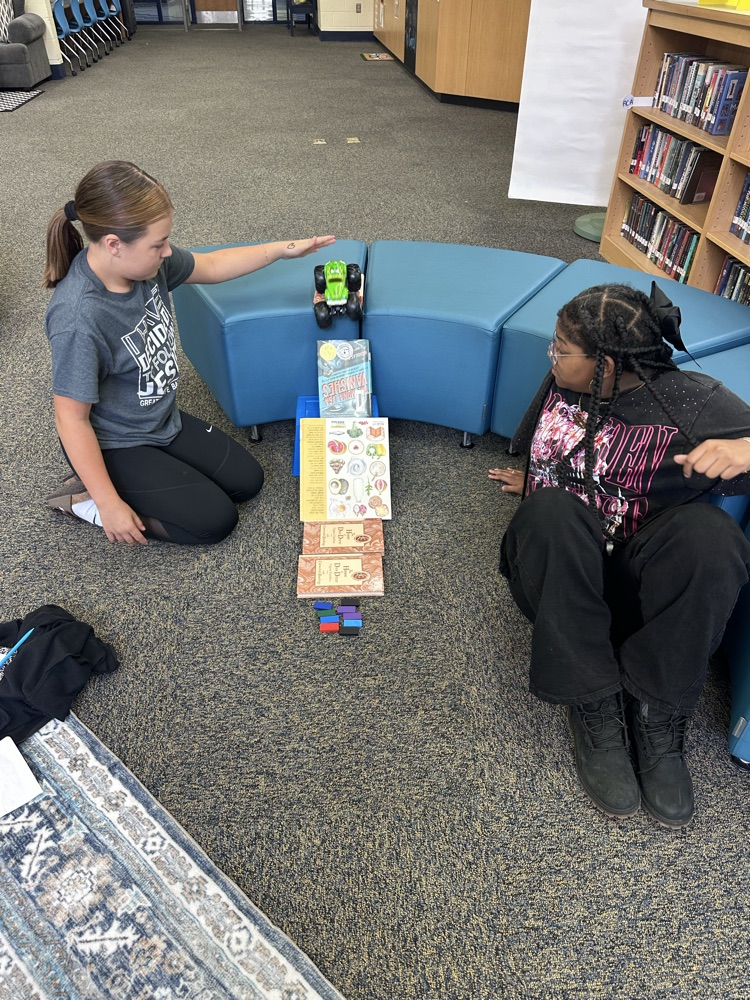 labs in the library